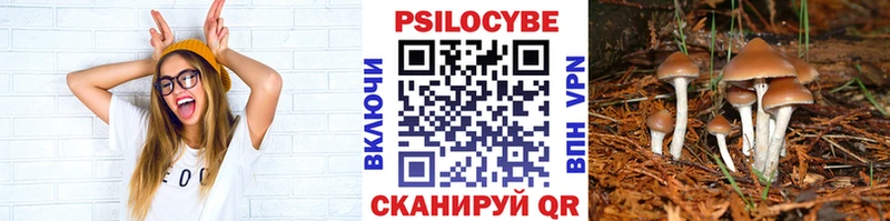 Псилоцибиновые грибы GOLDEN TEACHER Опочка