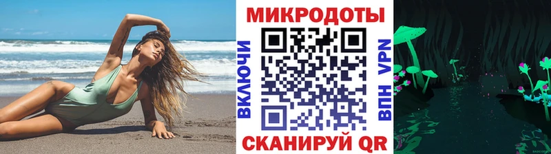 Псилоцибиновые грибы Psilocybe  Опочка 
