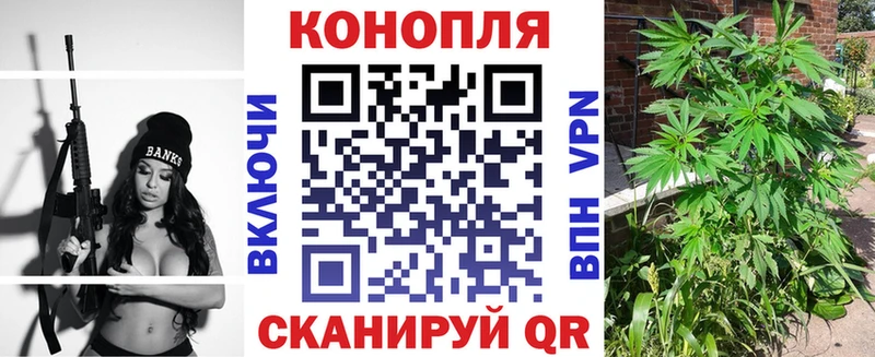 Бошки Шишки гибрид  Опочка 